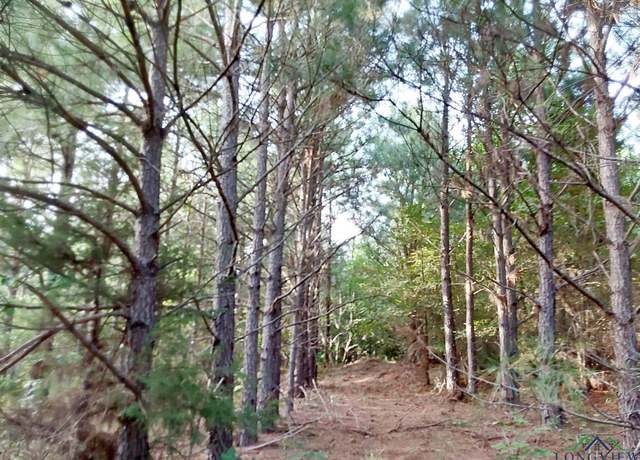 Property at TBD Cr 1619, Linden, TX 75563