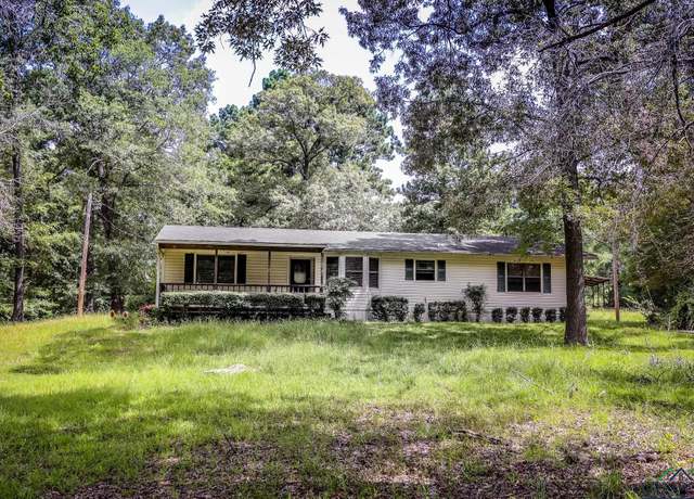 Property at 2753 Richie St, Diana, TX 75640, 3 beds, 2 baths
