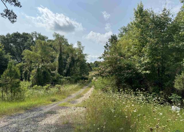 Property at 0000 E State Highway 43, Tatum, TX 75691