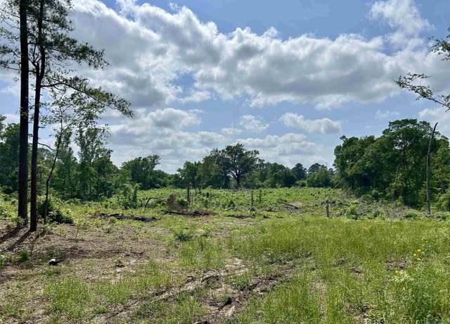 Property at TBD Highway 259, Henderson, TX 75654