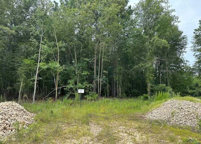Property at TBD Shiloh Rd Tract 2, White Oak, TX 75693