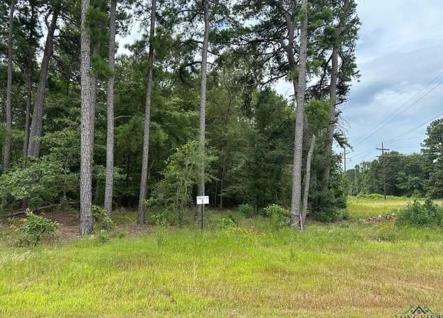 Property at TBD Shiloh Rd Tract 3, White Oak, TX 75693