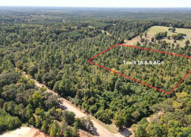Property at TBD Cr 4122, Bivins, TX 75555