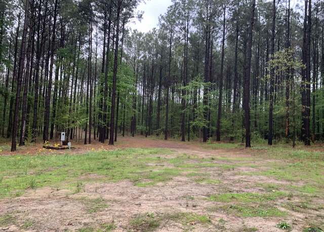 Property at 1417 Davidson Rd, Diana, TX 75651