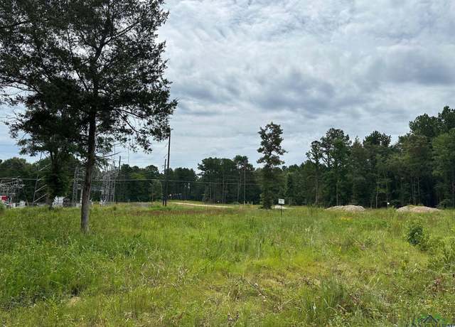 Property at TBD Shiloh Rd Tract 4, White Oak, TX 75693