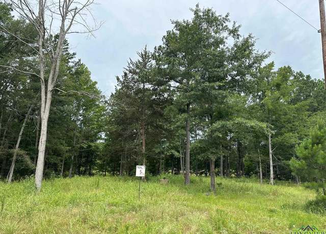 Property at TBD Shiloh Rd Tract 5, White Oak, TX 75693