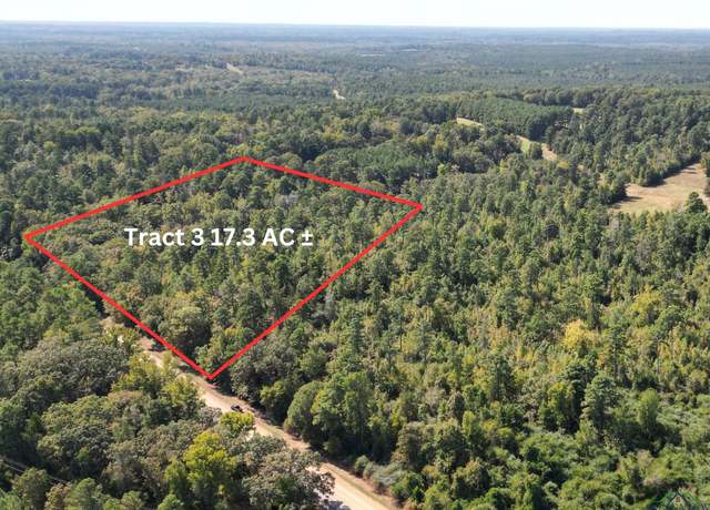 Property at TBD Tx Hwy 43, Bivins, TX 75555