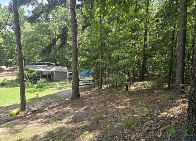 Property at 700 Deer Cove Rd, Avinger, TX 75630