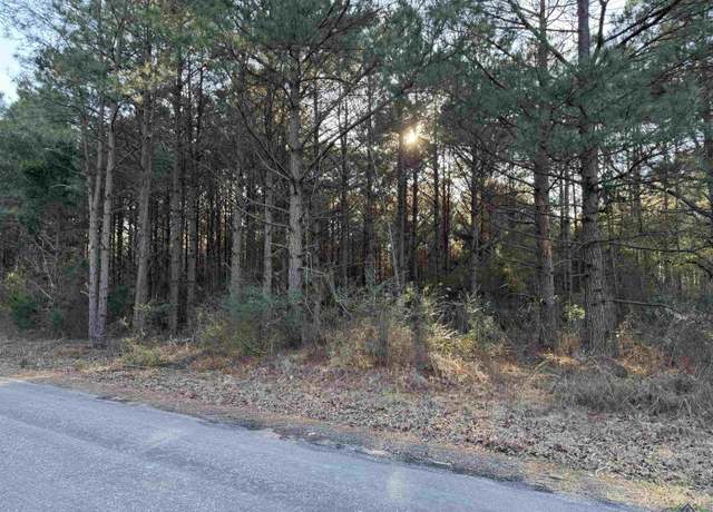 Property at 00 Cr 4814, Bloomburg, TX 75556