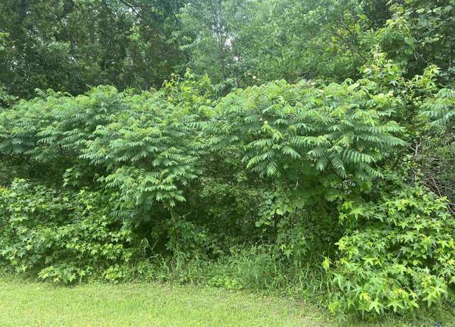 Property at 417 Yates St, Marshall, TX 75672