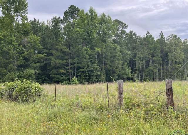 Property at TBD Fm 450, Diana, TX 75640