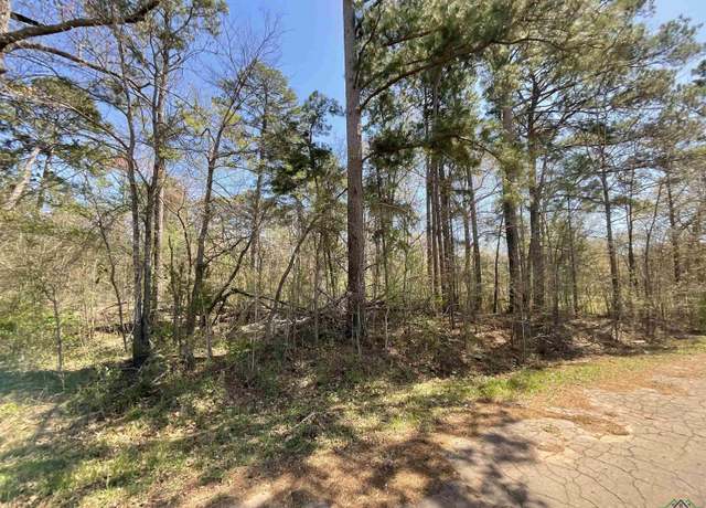 Property at TBD Ernest Dr, Marshall, TX 75672