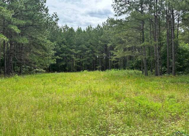 Property at TBD Shiloh Rd Lot 3, White Oak, TX 75693