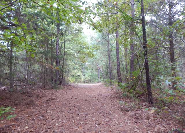 Property at TBD 70.78 Red Maple Rd, Big Sandy, TX 75755