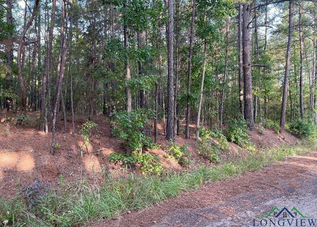 Property at TBD Pop's Landing Road CR 2610, Ore City, TX 75683