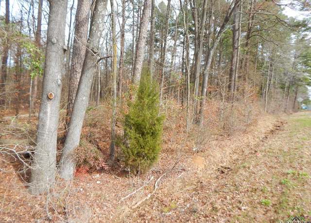 Property at TBD 11.72 Acres George Richey, White Oak, TX 75693