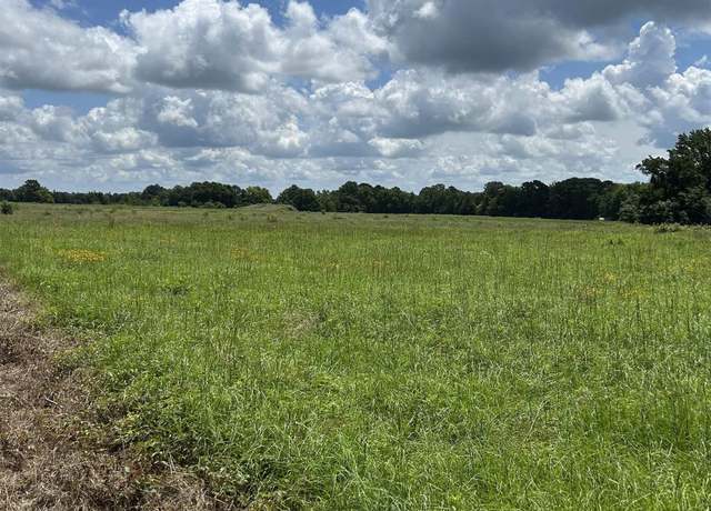 Property at TBD Cr 246, Beckville, TX 75631