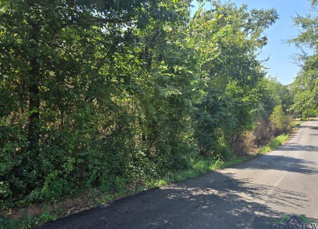 Property at TBD Martin Luther King Jr Dr, Henderson, TX 75652