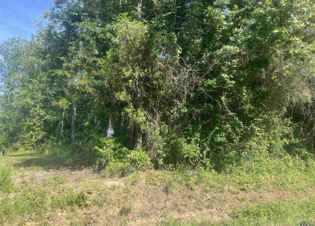 Property at TBD Cr 337, Marshall, TX 75672
