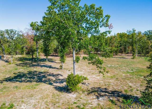 Property at 208 Angus Rd, Big Sandy, TX 75755