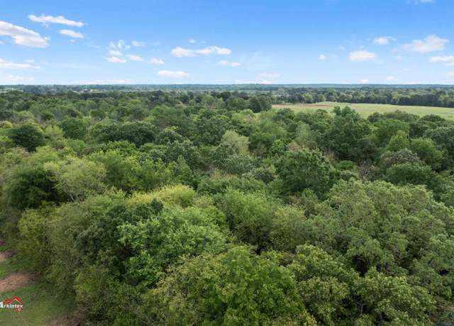 Property at TBD Cr 246, Beckville, TX 75631