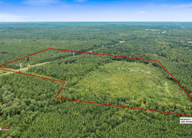 Property at TBD FM 95 (69.03 Acres), Mount Enterprise, TX 75681