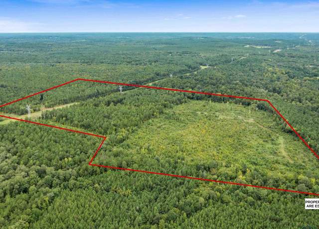 Property at TBD FM 95 (69.03 Acres), Mount Enterprise, TX 75681