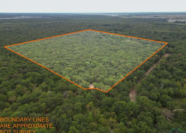 Property at TBD Cr 16150, Deport, TX 75435