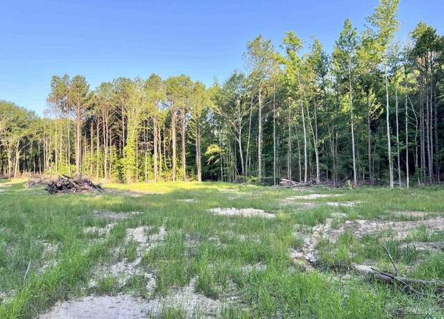 Property at 2735 Brandy Rd, New Diana, TX 75640