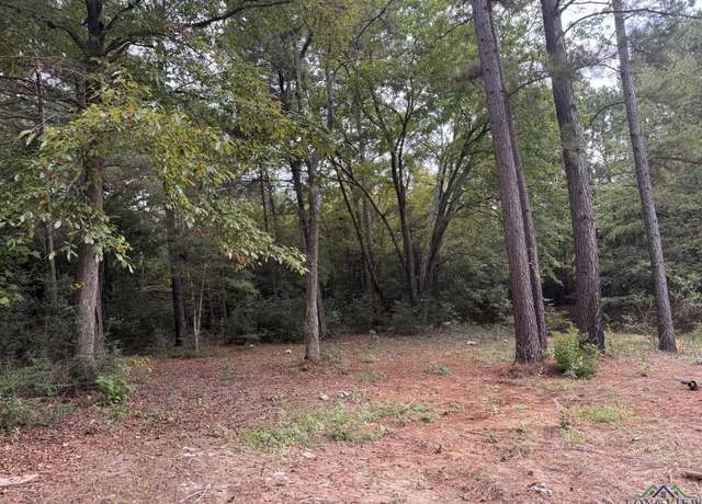 Property at TBD 4.987 ACRES 23349 Fm 838, Overton, TX 75684