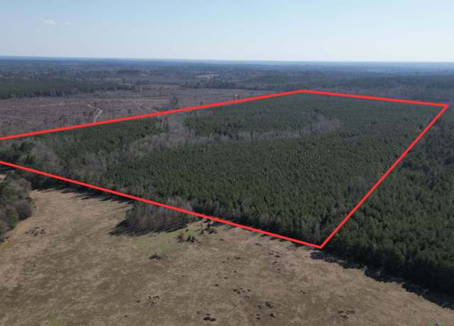 Property at TBD Cr 1896, Linden, TX 75563