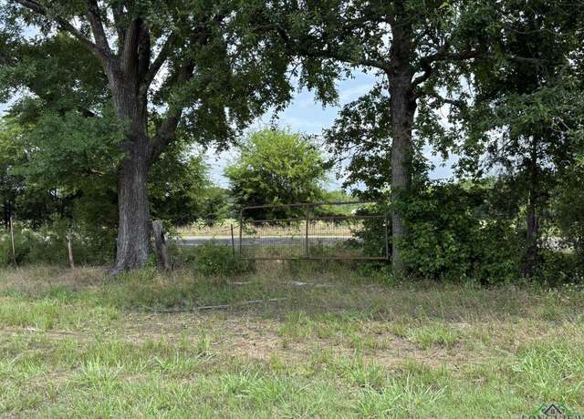 Property at TBD Fm 993, Pittsburg, TX 75686