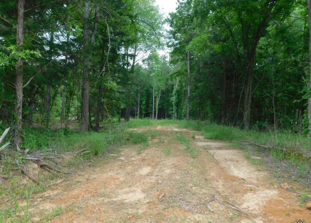 Property at TBD Groundhog Rd, Gilmer, TX 75644