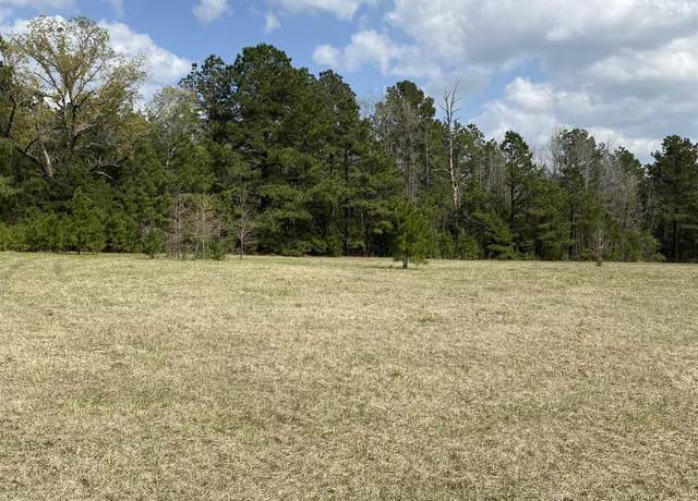 Property at TBD Sycamore Rd. E/side, Big Sandy, TX 75755