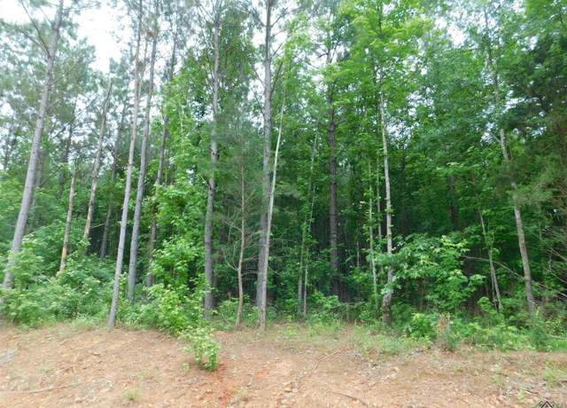 Property at TBD Megan Mills Rd, Gilmer, TX 75644