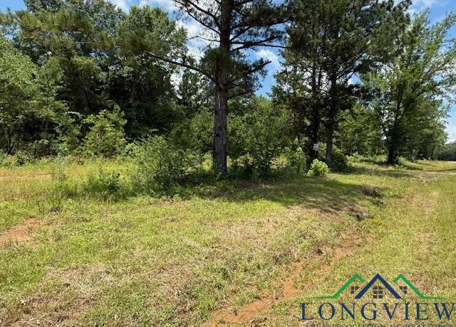 Property at TBD Lot 4 George Richey, Longview, TX 75604