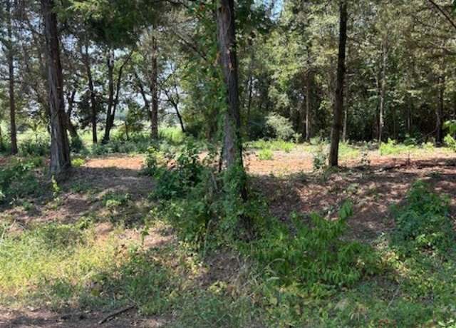 Property at TBD Cr 4365, Mount Pleasant, TX 75455
