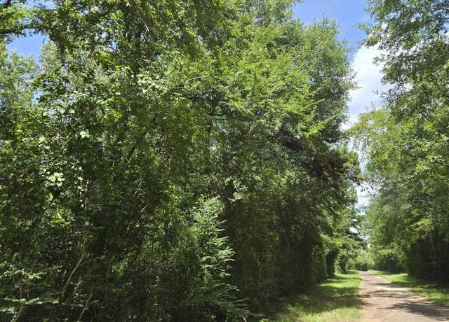 Property at TBD Cr 154, Carthage, TX 75601