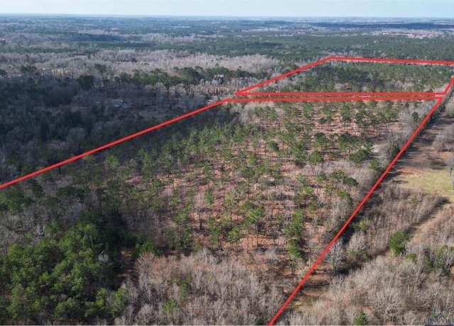 Property at TBD CR 3665, Queen City, TX 75572