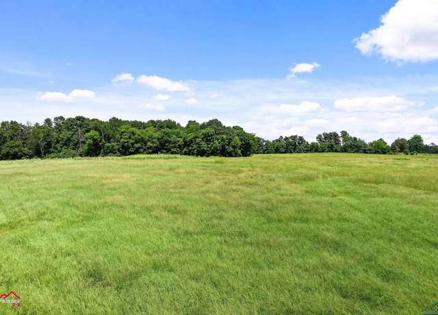 Property at TBD Cr 2414, Leesburg, TX 75451
