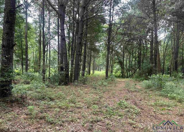 Property at X Fm 3042, Pittsburg, TX 75686