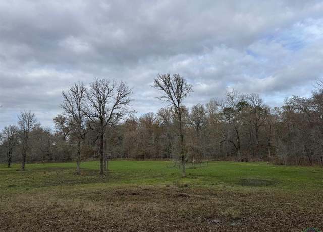 Property at TBD Private Rd 1331, Elysian Fields, TX 75642