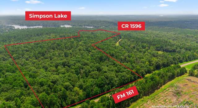 Photo of TBD County Road 1596, Avinger, TX 75630