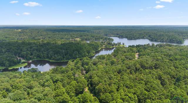 Photo of TBD County Road 1596, Avinger, TX 75630