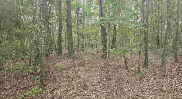 Photo of TBD Long John Rd, Marshall, TX 75672