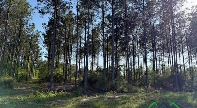 Photo of County Road 212, Beckville, TX 75631