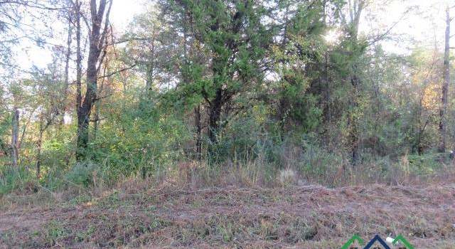 Photo of TBD Owl Rd, New Diana, TX 75604