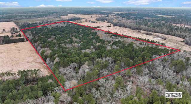 Photo of Fm 31 N, De Berry, TX 75639