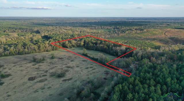 Photo of 0000 County Road 1763, Linden, TX 75563