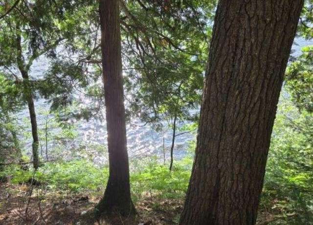Property at TBD Paint Lake Rd W, Iron River, MI 49935
